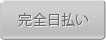 完全日払い