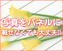 横浜ダンディグループ+画像9