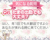 バニラスパ十三+画像10