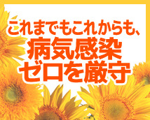 昼顔妻+画像8