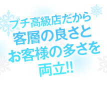 バニーコレクション+画像6