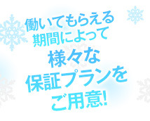 バニーコレクション+画像10